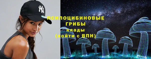 МДПВ Володарск