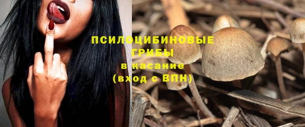 МДПВ Володарск
