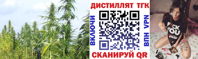 ТГК вейп с тгк  Купить где  Благодарный 