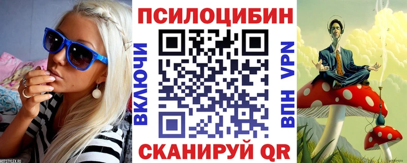 Купить  Благодарный  Галлюциногенные грибы мицелий 